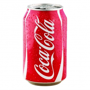Coca Cola Kutu 330 ml 24 'lü